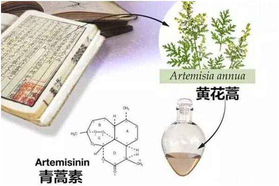 球友会体育在线,球友会体育在线（中国）：向中医药看齐，与世界共享中医药文化(图1)